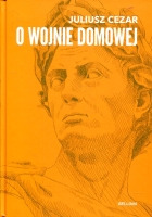 O wojnie domowej