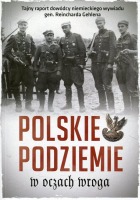 Polskie podziemie w oczach wroga