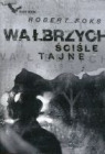 Wałbrzych. Ściśle tajne